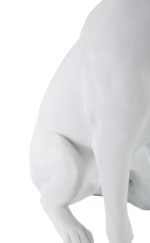 Statua Cane con Corona Bianco 20x12,5x33 cm in Poliresina