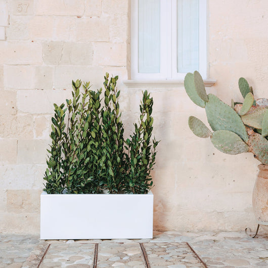 Vaso fioriera in resina rettangolare 40x100 Grigio mod. Matera