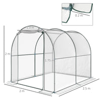 EasyComfort Serra Tunnel da giardino, Serra da Balcone per Piante e Orto con Copertura in PVC, Porta Avvolgibile e Telaio in Acciaio, 2x2.5x2m