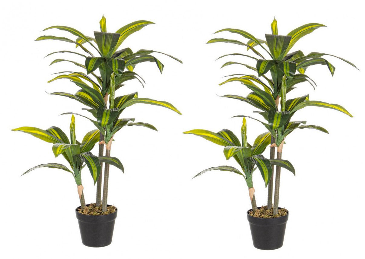 Pianta Artificiale Dracaena 88 h in Plastica con Vaso Verde