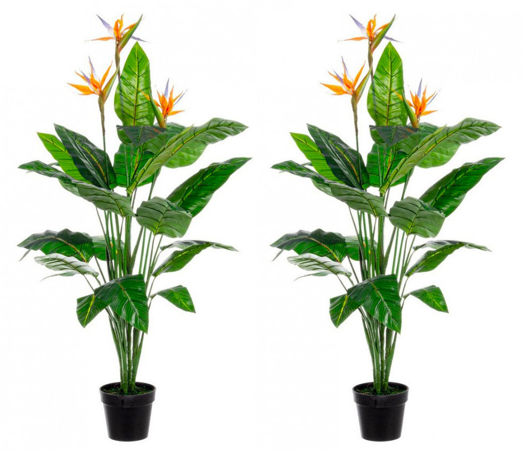 Pianta Artificiale Strelitzia 70x70x150 cm in Plastica con Vaso Verde