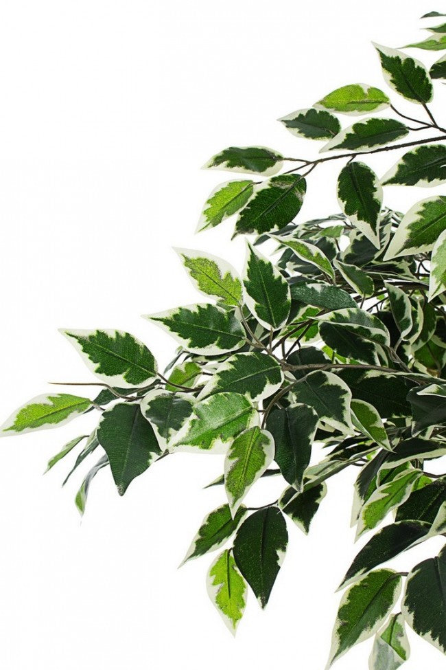 Pianta Artificiale di Ficus 120 h in Plastica con Vaso Verde