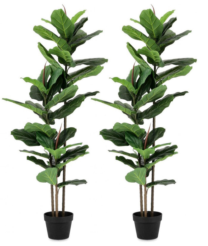 Set 2 Piante Artificiali con Vaso 100x60x145 cm Ficus Lyrata in Plastica