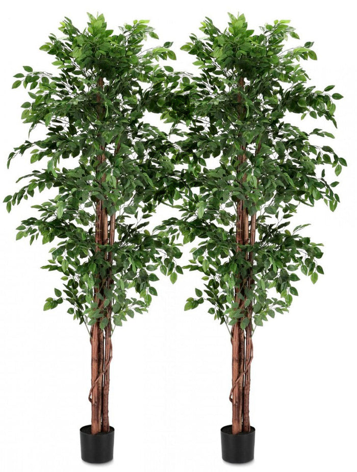 Set 2 Piante Artificiali con Vaso ⌀ 90x210 cm Ficus in Plastica