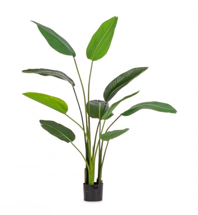 Pianta Artificiale Strelitzia 90x80x150 cm in Plastica con Vaso Verde