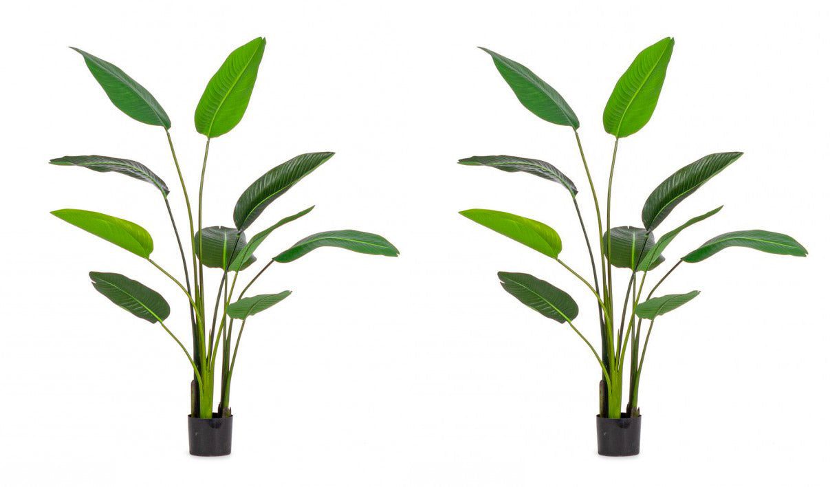 Pianta Artificiale Strelitzia 90x80x150 cm in Plastica con Vaso Verde