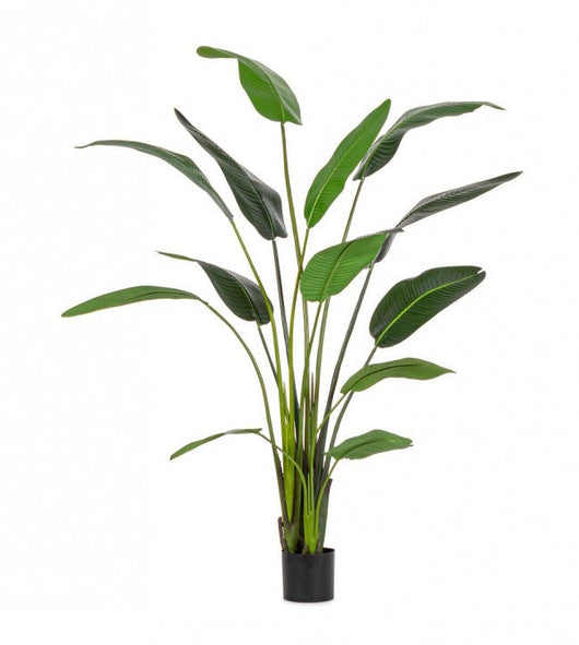 Pianta Artificiale Strelitzia 120x100x235 cm in Plastica con Vaso Verde