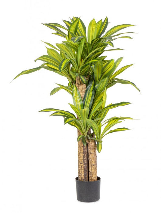 Pianta Artificiale Dracaena Ø100x130 cm in Plastica con Vaso Verde