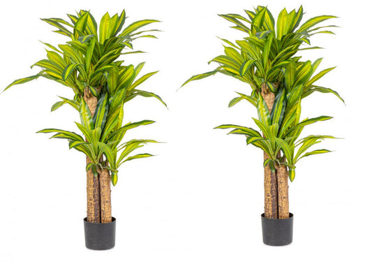 Pianta Artificiale Dracaena Ø100x130 cm in Plastica con Vaso Verde