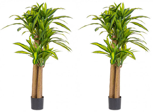 Pianta Artificiale Dracaena Ø110x150 cm in Plastica con Vaso Verde