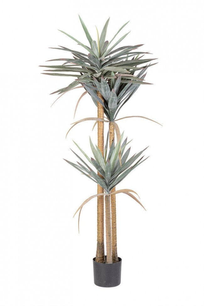 Pianta Artificiale Yucca 80x75x152 cm in Plastica con Vaso Verde