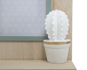 Cornice Cactus con Cassetto 20,5x8,5x31 cm MDF e Vetro Grigio