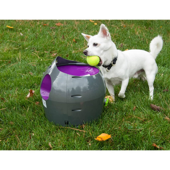 PetSafe Lanciapalline Automatico 9 m Grigio e Viola PTY00-14665 411446