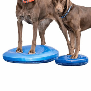 FitPAWS Disco per l'Allenamento dell'Equilibrio per Cani 36 cm Blu 433818