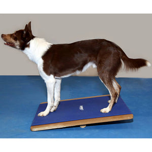 FitPAWS Tavola per l'Equilibrio Gigante 75x75 cm Blu 433828