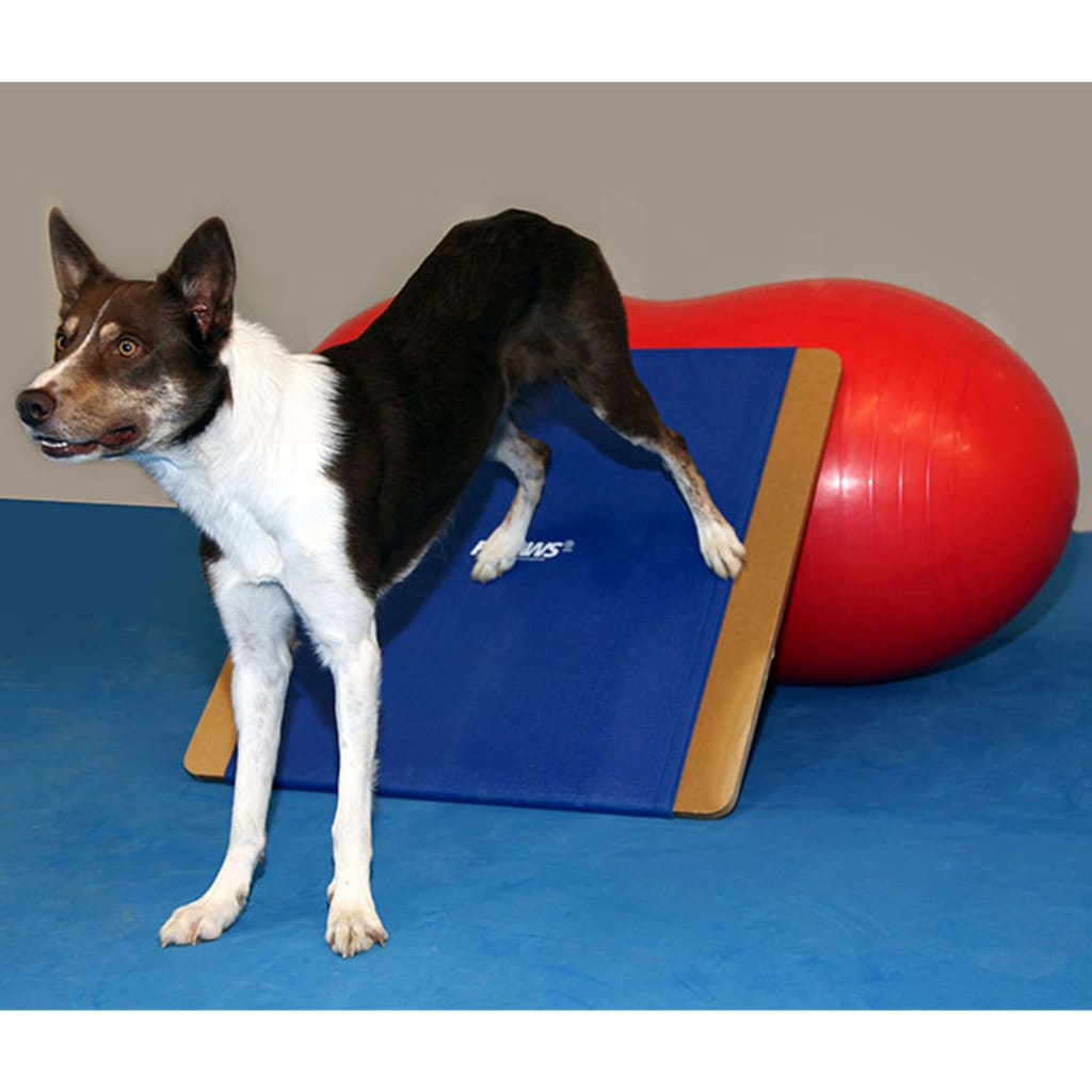 FitPAWS Tavola per l'Equilibrio Gigante 75x75 cm Blu 433828