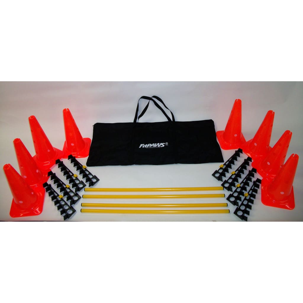 FitPAWS Set di Ostacoli cod 9618