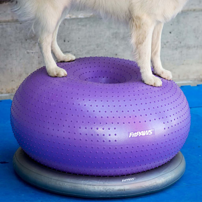 FitPAWS Supporto Anello di Addestramento 63 cm Grigio 433821