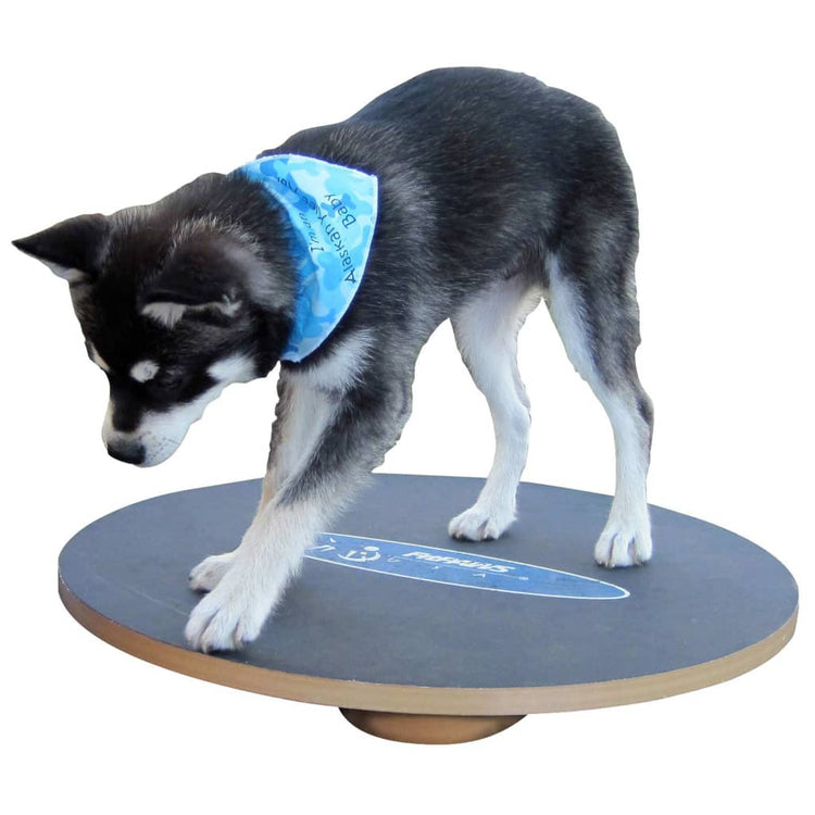 FitPAWS Tavola per Equilibrio 50 cm Nera 433830