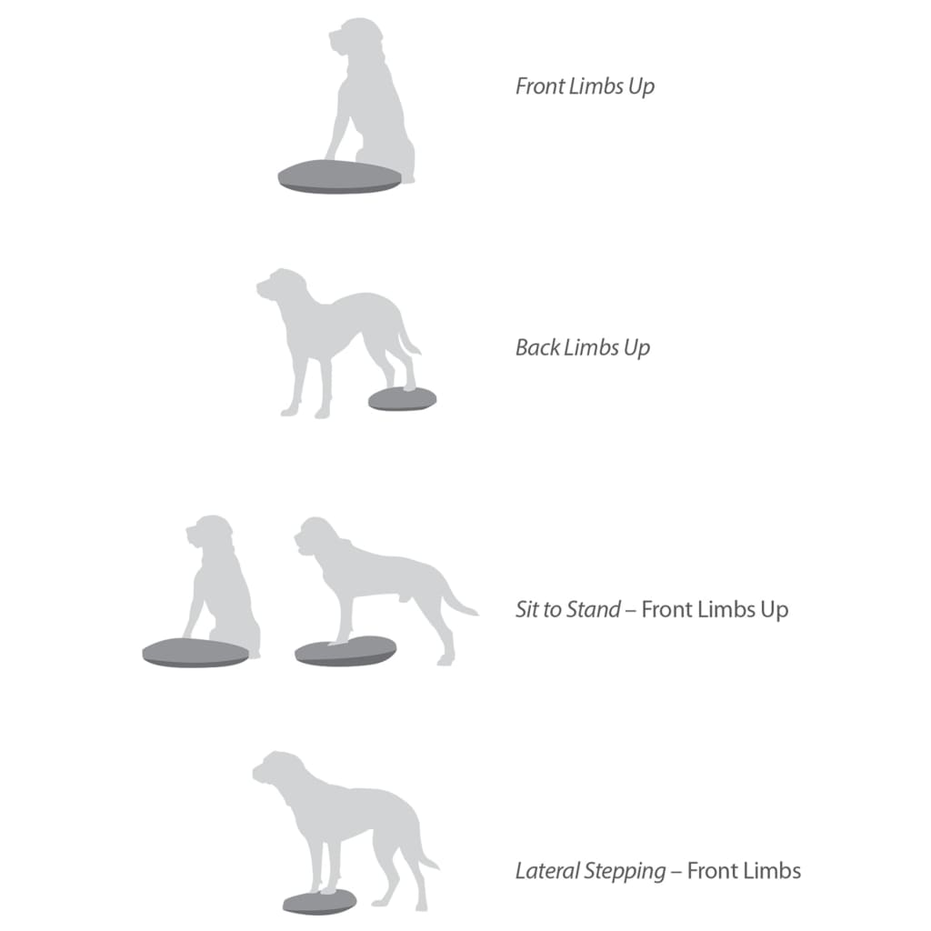 FitPAWS Disco per l'Allenamento dell'Equilibrio per Cani 36 cm Lampone 433833