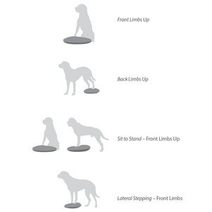 FitPAWS Disco per l'Allenamento dell'Equilibrio per Cani 36 cm Lampone 433833