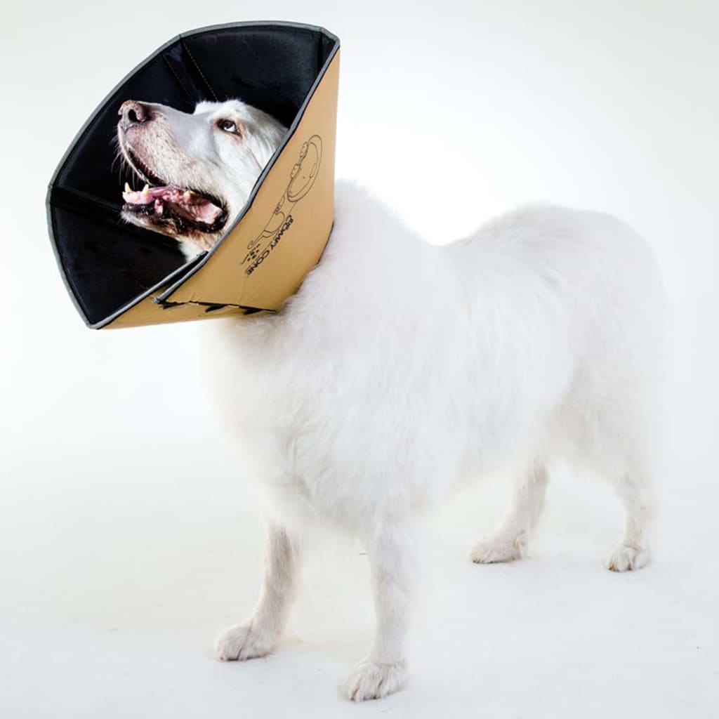 All Four Paws Collare Medico per Cani Comfy Cone Taglia S 20 cm Tanno