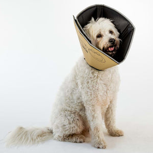 All Four Paws Collare Medico per Cani Comfy Cone Taglia S 20 cm Tanno