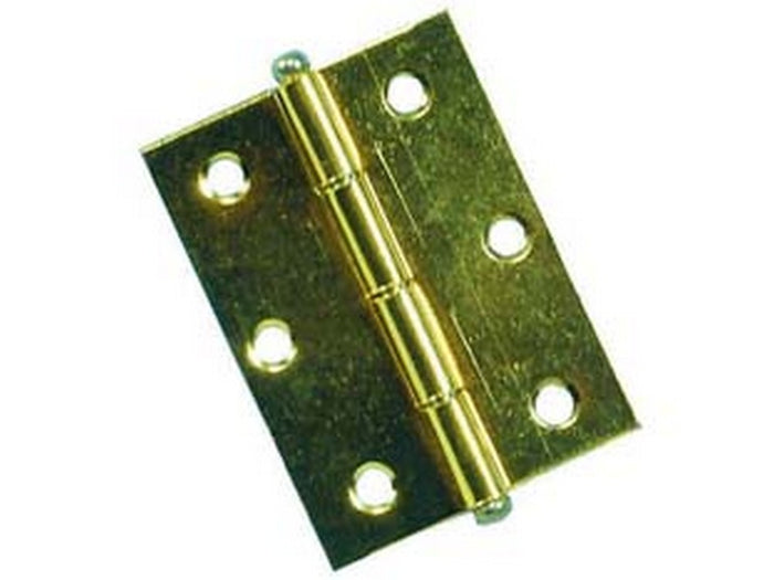 24pz cerniere con perno sfilabile in acciaio ottonato - mm.50x50 fer209038