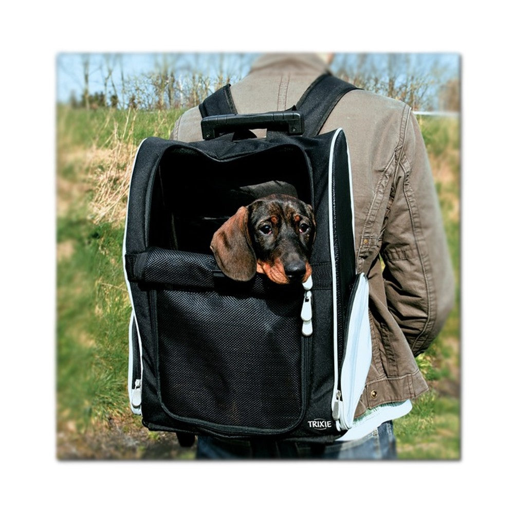 Trolley per animali black & gray