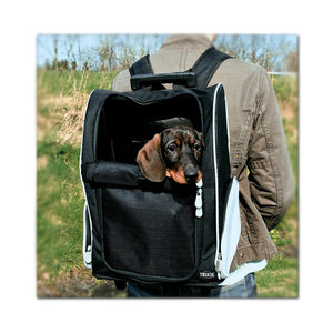 Trolley per animali black & gray