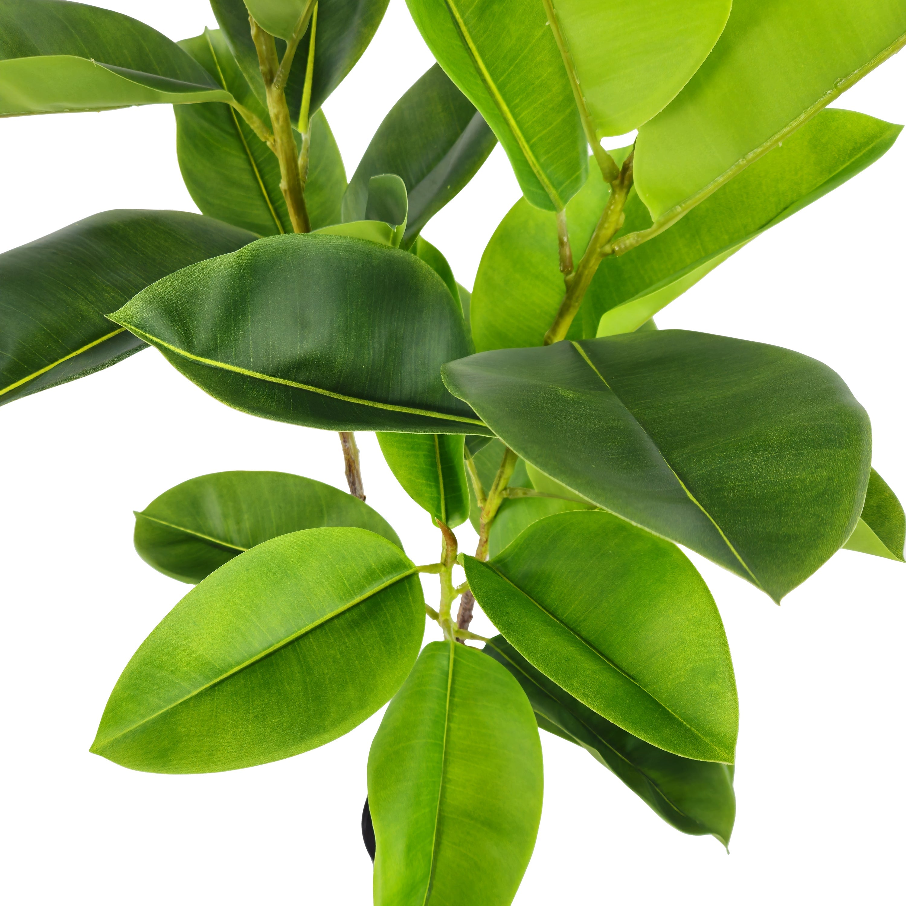 Pianta Artificiale per interno Ficus Elastica 140 Cm