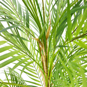 Pianta Artificiale Palma Areca 210 cm per interno ed esterno