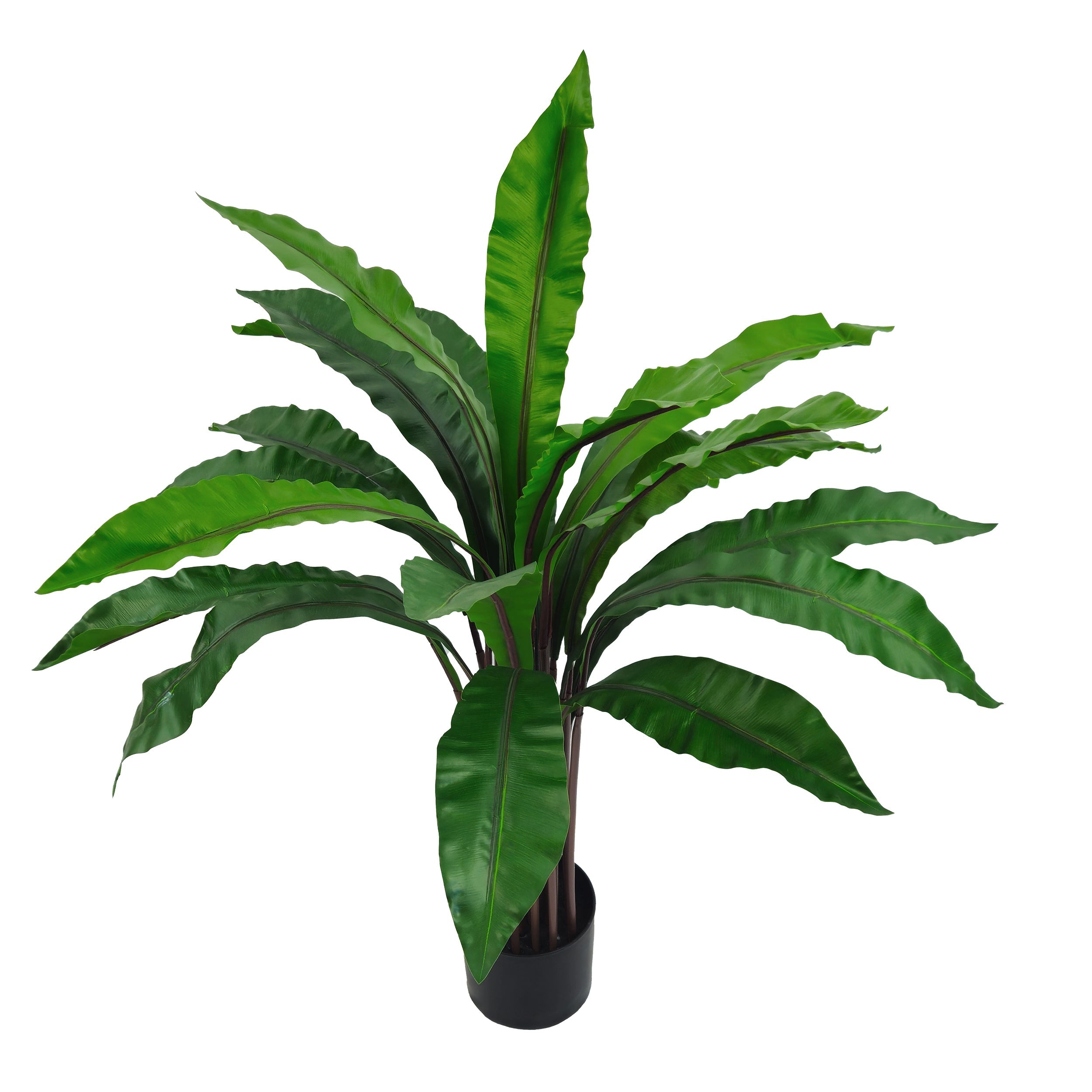 Pianta artificiale Felce Asplenium cm 80