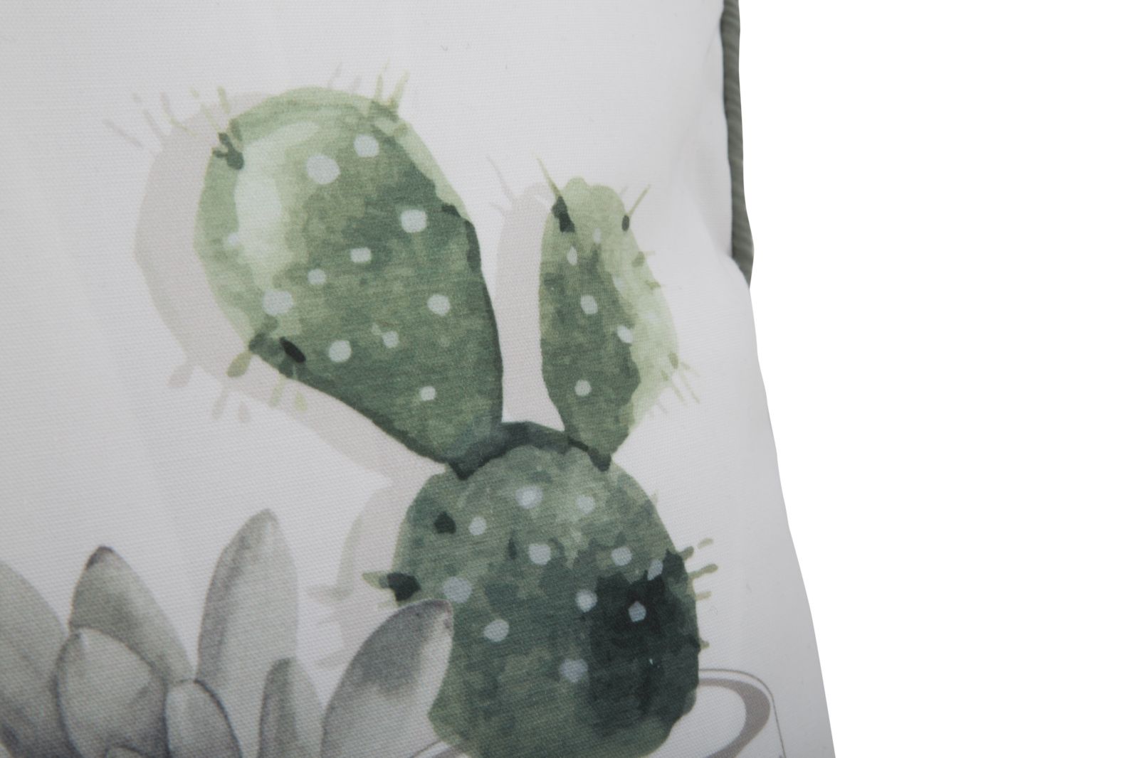 Cuscino Cactus 45x45 cm Poliestere Bianco e Verde