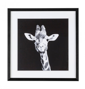 Quadro Evidence 107 49X49 (2 Pezzi) - ANIMALS