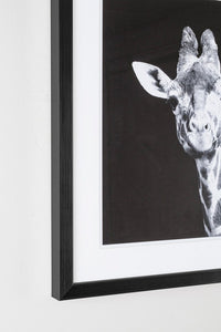 Quadro Evidence 107 49X49 (2 Pezzi) - ANIMALS