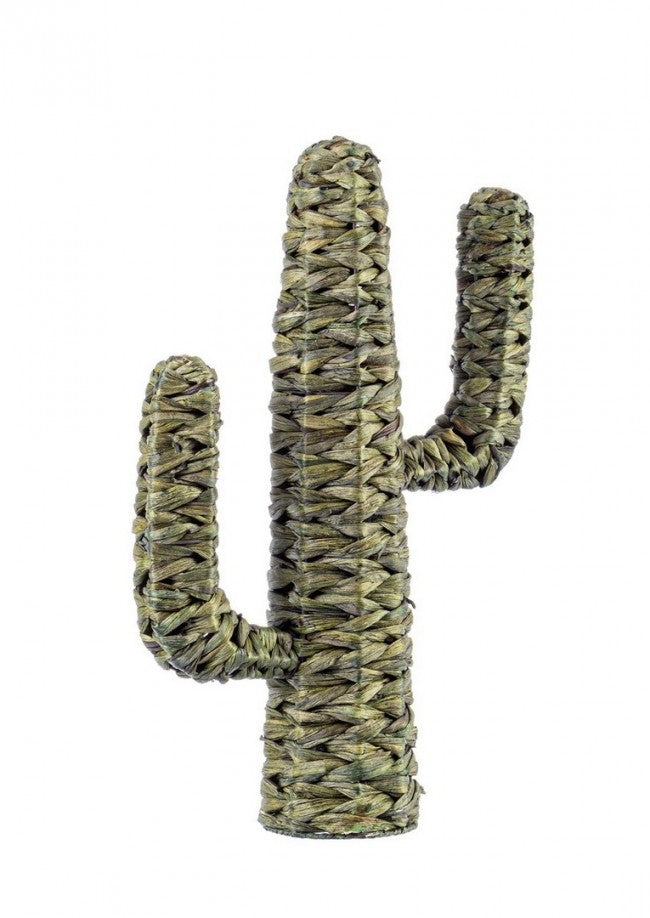 Cactus Saguaro Verde H59 (4 Pezzi) -