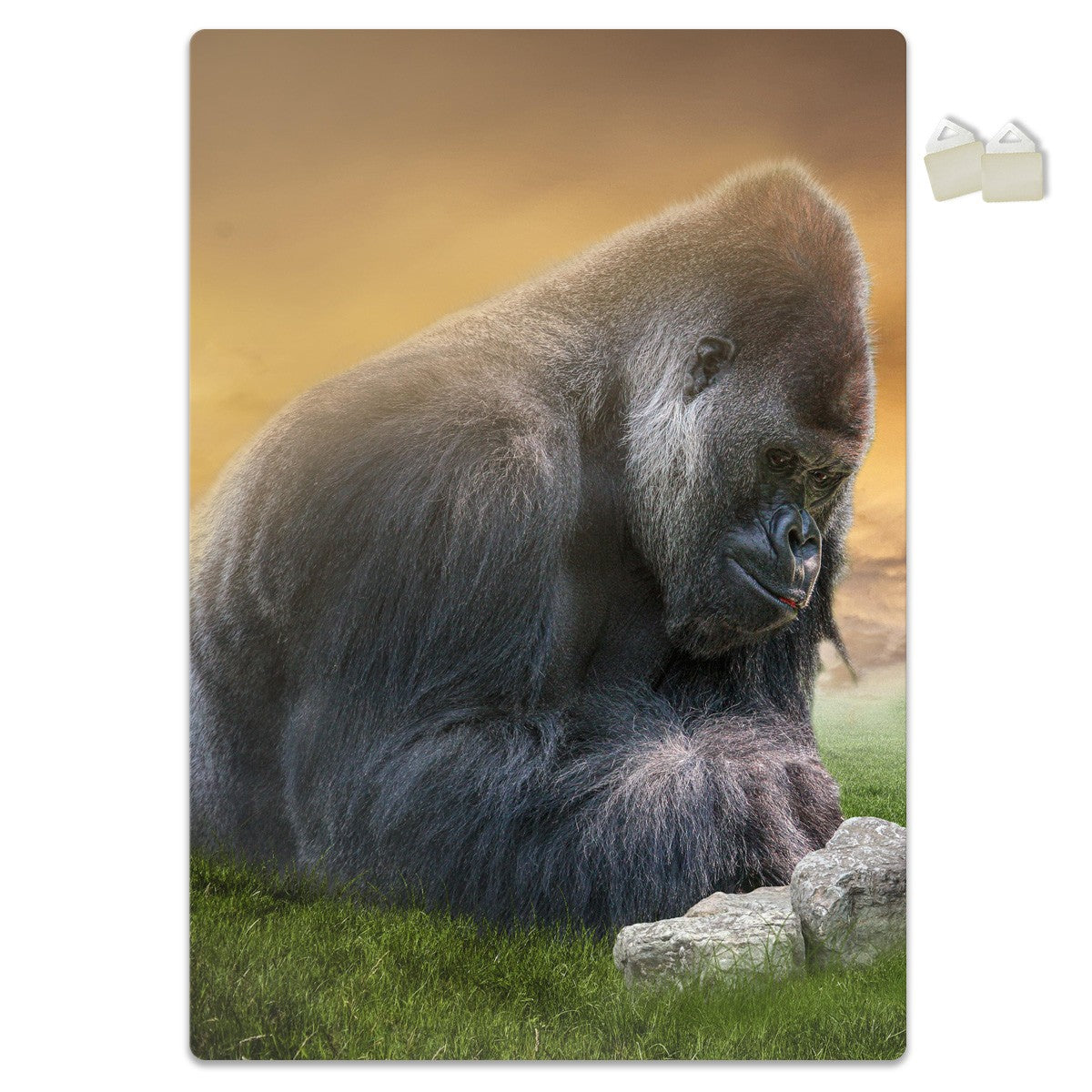 GORILLAS - POSTER in PVC da 3mm Misura: 70x100 cm