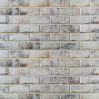 MURALES Pannello finto mattone in EPS Resinato finitura ruvida Misura 100x50 Cm spessore 2 cm