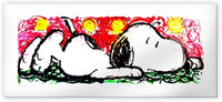 Quadro Canvas su telaio in legno SNOOPY Misura: 100x45 cm