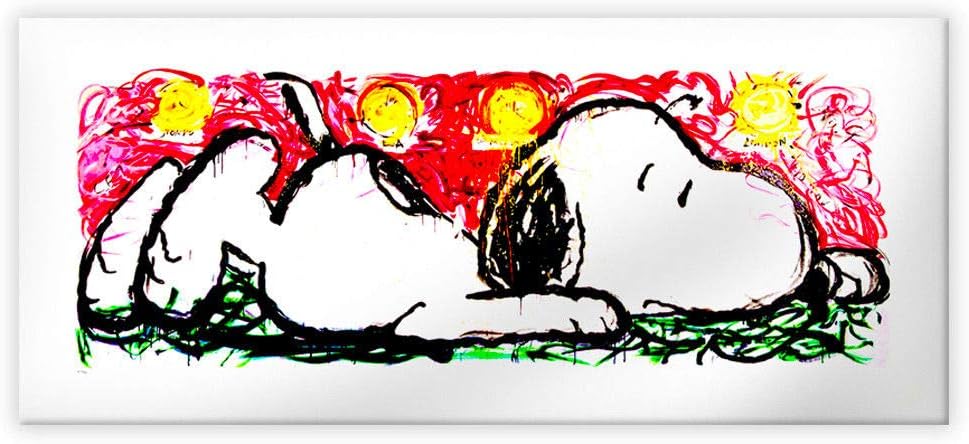 Quadro Canvas su telaio in legno SNOOPY Misura: 100x45 cm