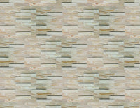 ROVERE SBIANCATO - Pannello parete in PVC finto legno effetto 3D copri muffa 98x48cm 2 Pz 1Mq