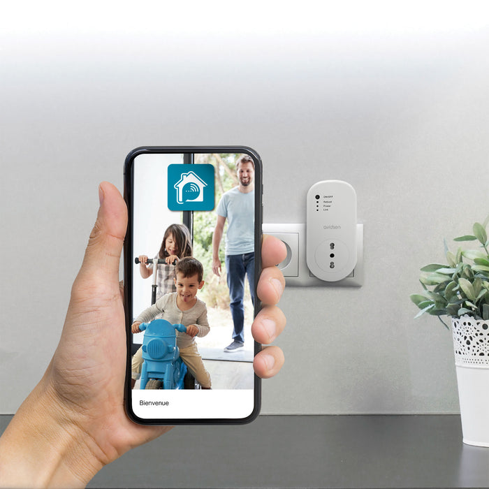 Presa  Smart WiFi 16A  HomePlug 127001 Avidsen