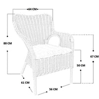 Poltrona Kariba grigio in vero rattan con cuscino in omaggio