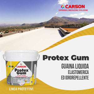 Guaina liquida impermeabilizzante elastomerica tetti terrazze Carson Protexgum Grigio/1 lt