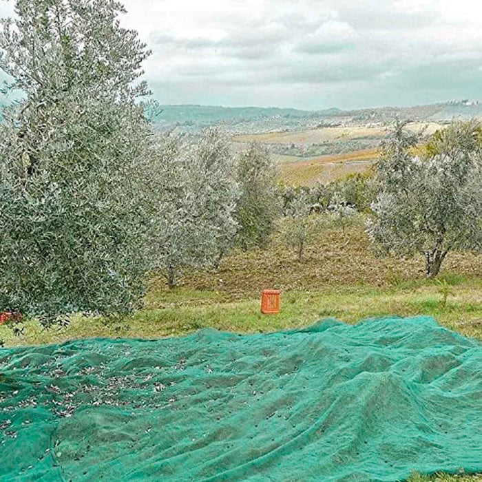 Rete antispina per raccolta olive 85 gr/mq - teli di varie dimensioni (4x6 mt - intera)