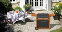 Barbecue a Gas e Metano Ghisa Piastra Legno Campingaz Adelaide 3 Woody DualGas