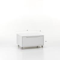 Cassettiera con Ruote 1 Cassetto 60x45x32 cm in Legno TFT Belsk Bianco e Cemento