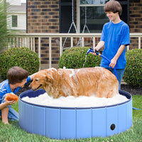 Piscina per Animali Domestici in Plastica Bordo Stabile 120x30 cm Blu