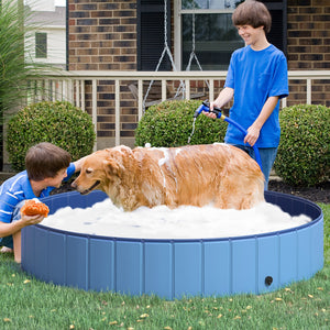 Piscina Pieghevole per Cani in PVC Azzurro Ø160x30h cm